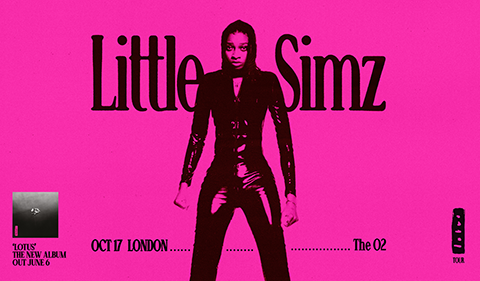 Little  Simz