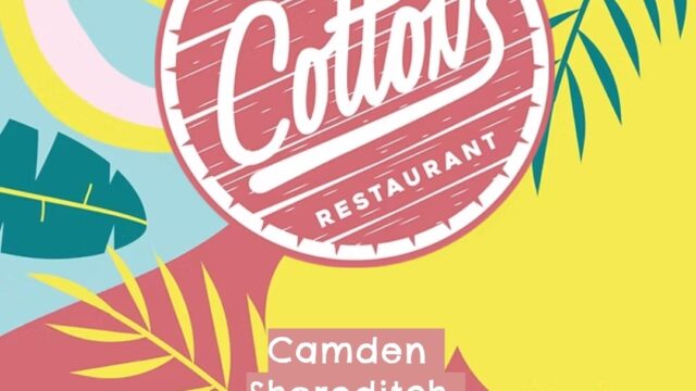 Screenshot_20250819-140026_Chrome