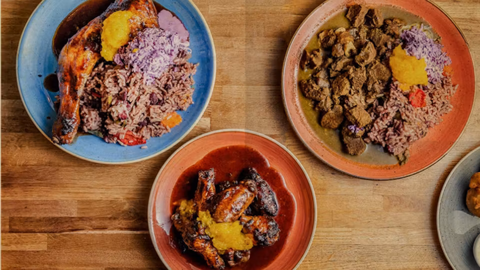 fish–wings-tings-food_07082023022853